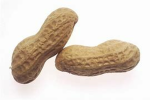 The Peanut Family!