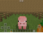 #PIXPIG SQUAD#
