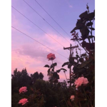 Aesthetic Things And Clothing