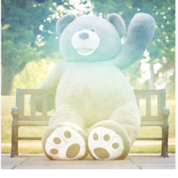 Teddy world Hybrid Teddys