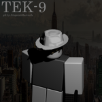 〔TEK-9〕