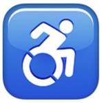 Wheelchair Warriors Worldwide