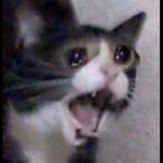 this game not working