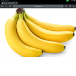 .BananaStudios
