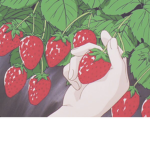 Berry$Clothing