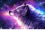 Wolve’s life