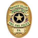 Br in ny State Emergency Services.