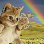- Century Cats -