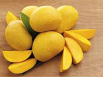 The mango gang!