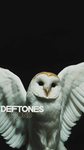 Aesthetic Profile Themes