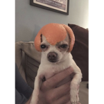 ᴛᴛ ɢʀᴏᴜᴘ :)