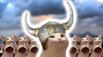 kitty kingdom 67