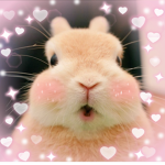 Too soft ;w;