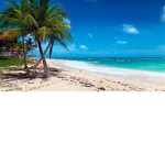 Bahamas Life :D