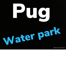 pug water park