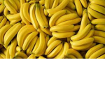 banana milk group