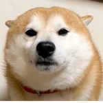 멍안녕