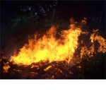 Blazing Foundation