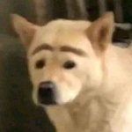 eternitys ugc