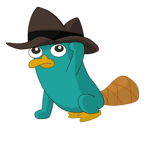 1Hai