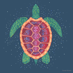 The turtle squad(: