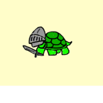Turtle knight