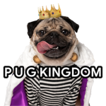 P U G KINGDOM