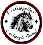 Çerkezoğulları Holding