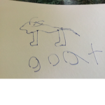 Goat squadron