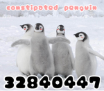 Constipated Penguin