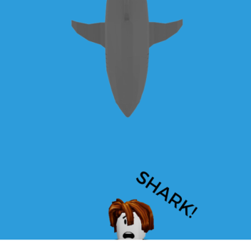 shark time