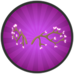 Sakura Wings!