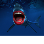 sharkboy the youtuber