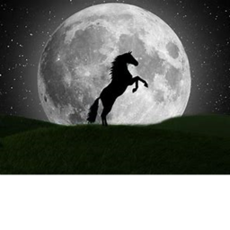 Night Capture the Flag