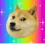 Doges soldier Teh DOGE