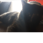 Princesskittyxoo