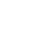 Quality Bridge