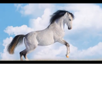 Horse forever