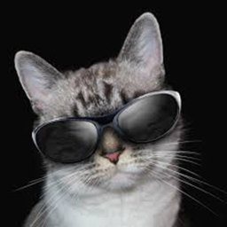 Cat Gang Hangout