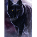 Dark Black Wolves