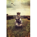 Squirrel Army 101