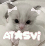 atasvi