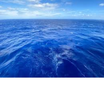 The Sea Family