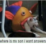 Z0N1C