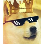 The doge queens and kings