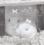 fwun'sized