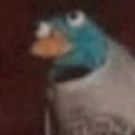 S I C K O S