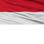 Rapid Fire INDONESIA