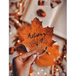*•Autumn’s Armyy•*