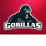 GORILLA CLUB_FUN